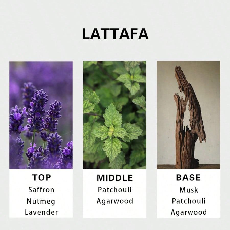 Lattafa Badee Al Oud For Glory - Perfume Fragrance Lasting avis et prix