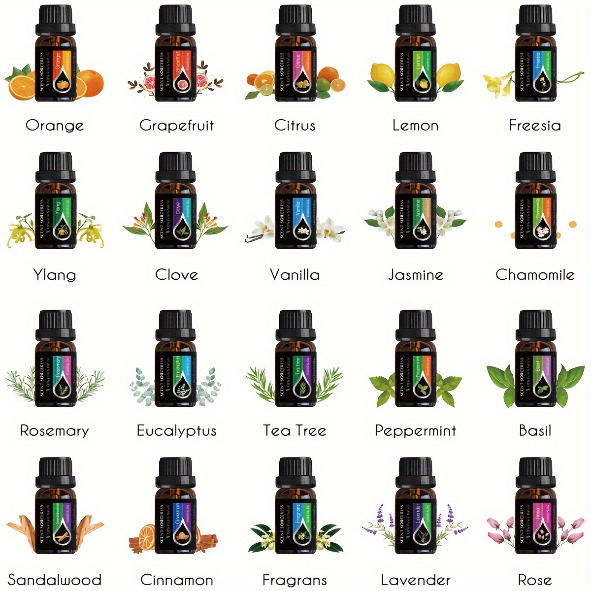 20 pièces/ensemble ensemble d' - Perfume Fragrance Essence avis et prix