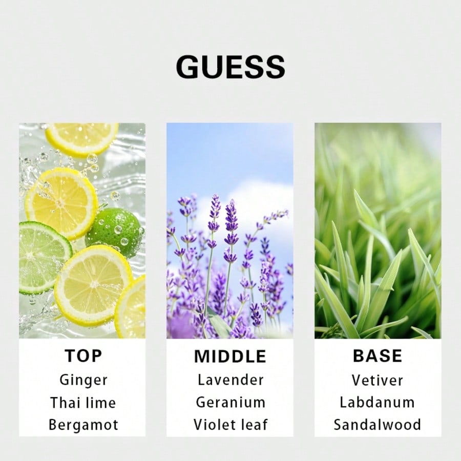 Guess Forever Homme Eau de Toi - Perfume Fragrance Lasting avis et prix